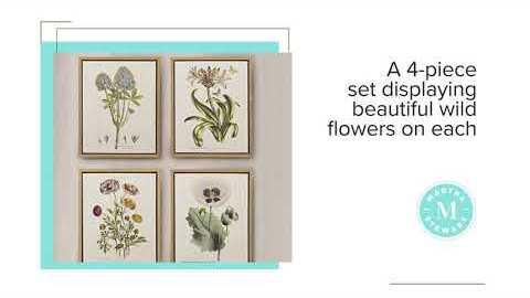 Olliix.com Wall Paintings - Herbal Botany Framed Linen Canvas 4 Piece Set Green