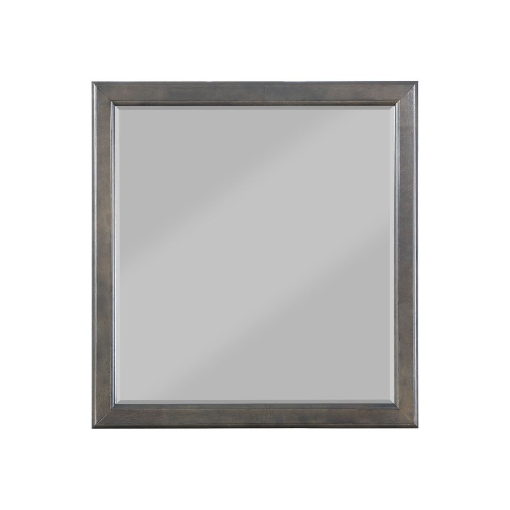 ACME Mirrors - ACME Louis Philippe Mirror, Dark Gray
