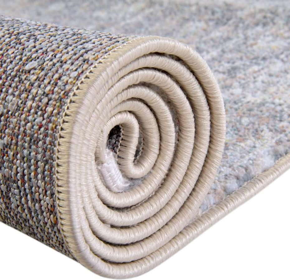 Unique Loom Indoor Rugs - Baracoa Border 10x13 Dark Gray & Ivory