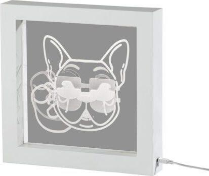 Adesso Desk Lamps - Cool Dog Video Light Box