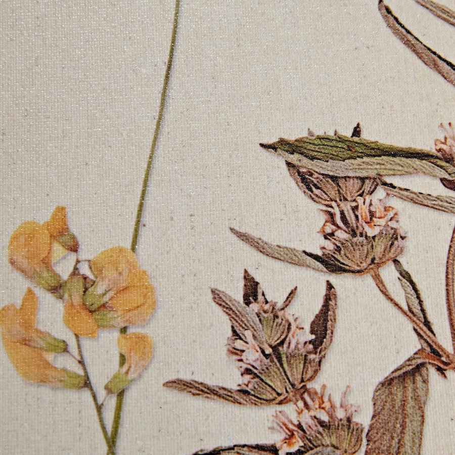 Olliix.com Wall Art - French Herbarium Framed Linen Canvas 2 Piece Set Multicolor