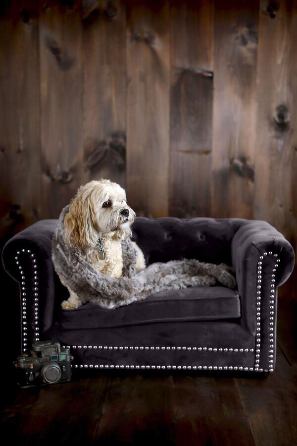 Tov Furniture Dog Beds - Husky Grey Pet Bed Grey