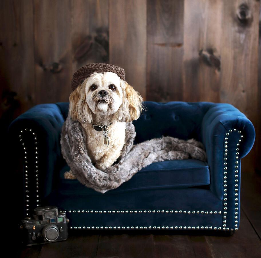 Tov Furniture Dog Beds - Husky Navy Pet Bed Navy