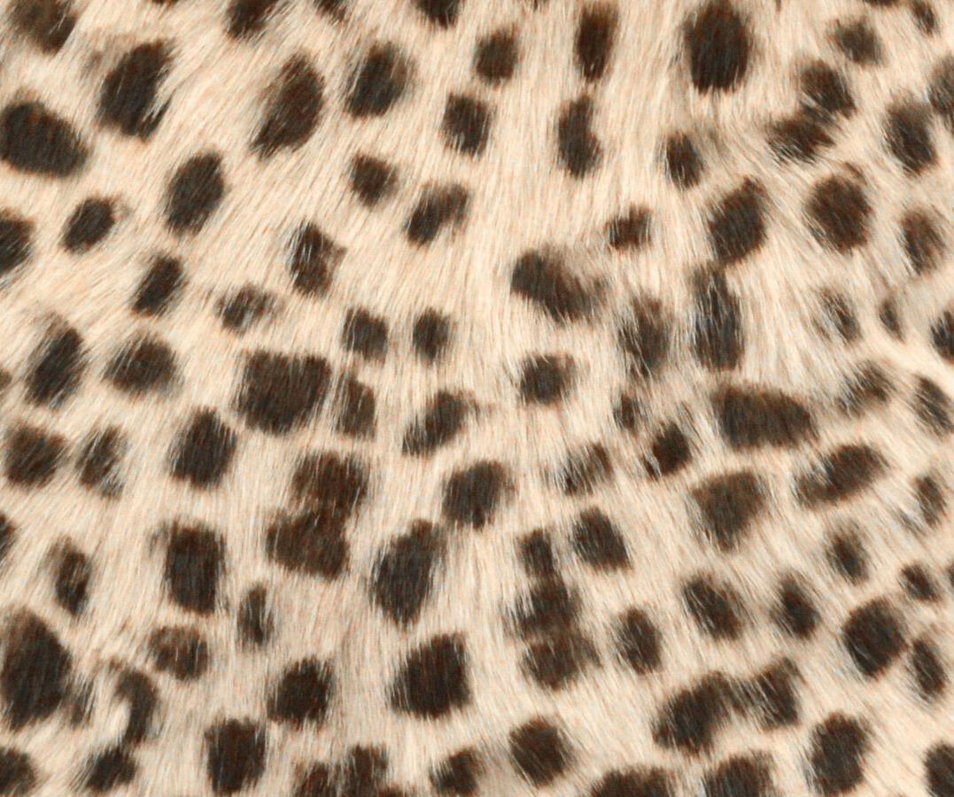 Tov Furniture Pillows & Throws - Leopard Print Goatskin 20" Pillow Leopard