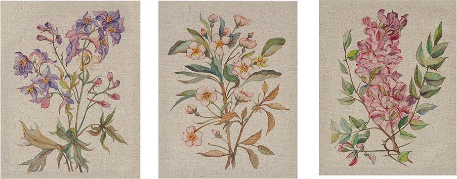 Olliix.com Wall Paintings - Linen Botanicals Printed Linen Canvas Multicolor ( Set of 3)