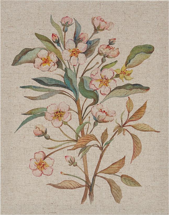 Olliix.com Wall Paintings - Linen Botanicals Printed Linen Canvas Multicolor ( Set of 3)