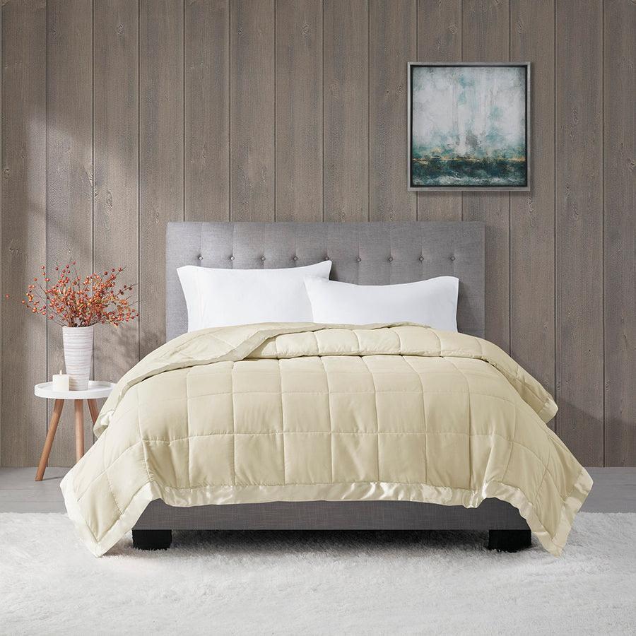 Olliix.com Comforters & Blankets - Windom Casual All Season Microfiber Down Alt Blanket with 3M Scotchgard Twin Ivory