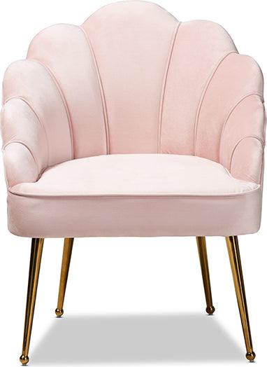 Wholesale Interiors Accent Chairs - Cinzia Light Pink Velvet Fabric Upholstered Gold Finished Seashell Shaped Accent Chair