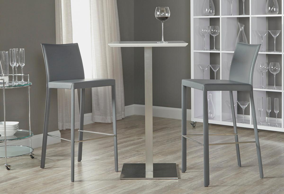 Euro Style Barstools - Hasina Bar Stool in Gray with Polished Stainless Steel Legs - Set of 2