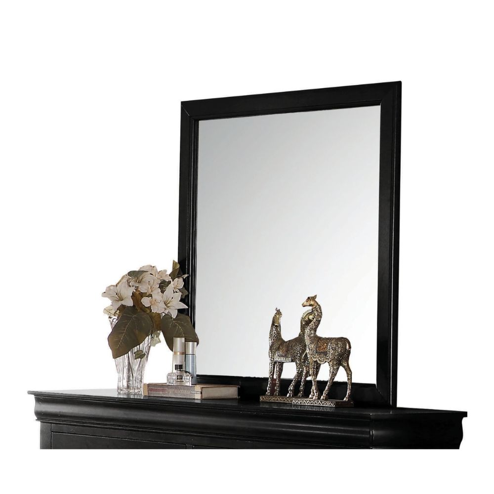 ACME Mirrors - ACME Louis Philippe Mirror, Black