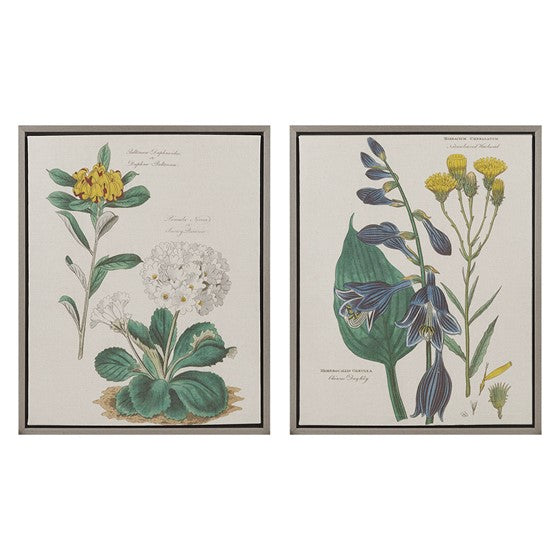 Olliix.com Wall Art - Botanical Illustration 2-piece Framed Canvas Wall Art Set Natural
