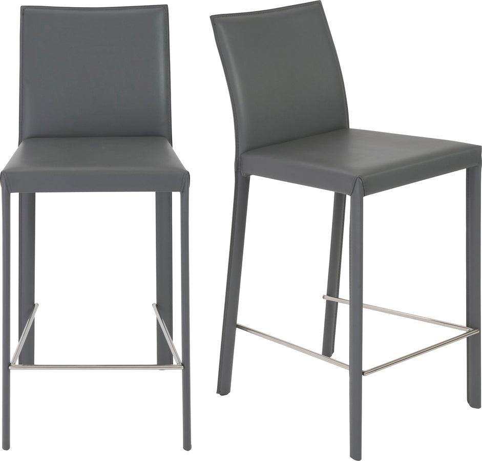 Euro Style Barstools - Hasina Counter Stool in Gray with Polished Stainless Steel Legs - Set of 2