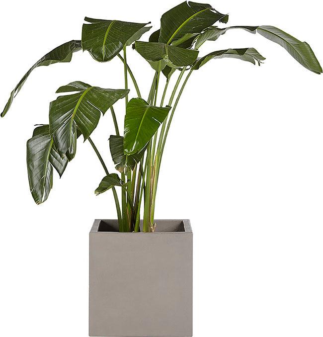 SUNPAN Planters - Calix Planter