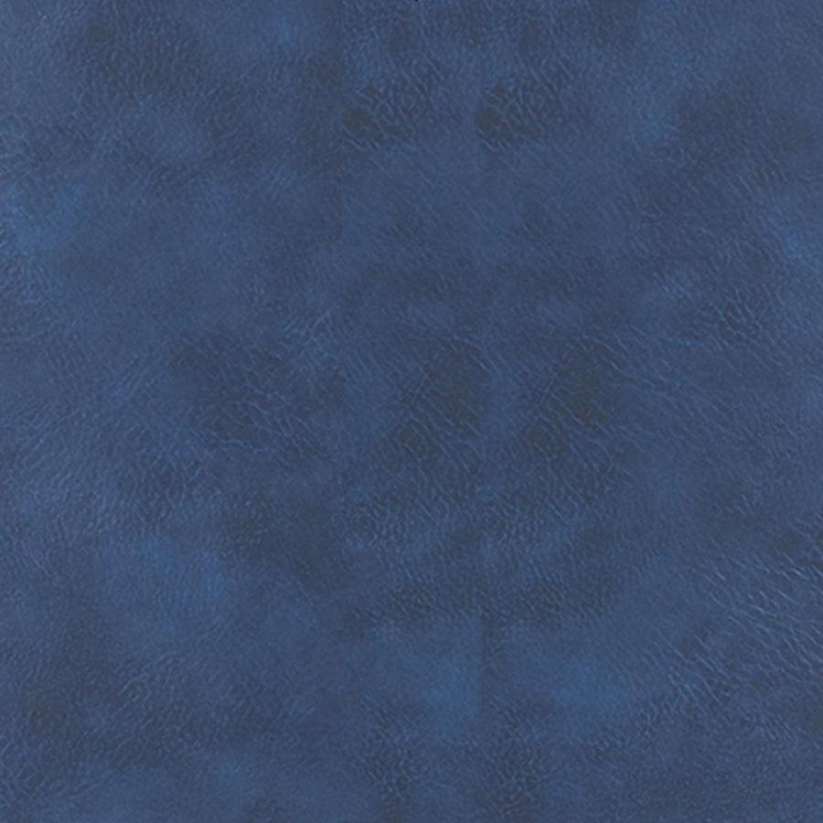 Euro Style Dining Chairs - Corinna Side Chair in Vintage Dark Blue - Set of 2