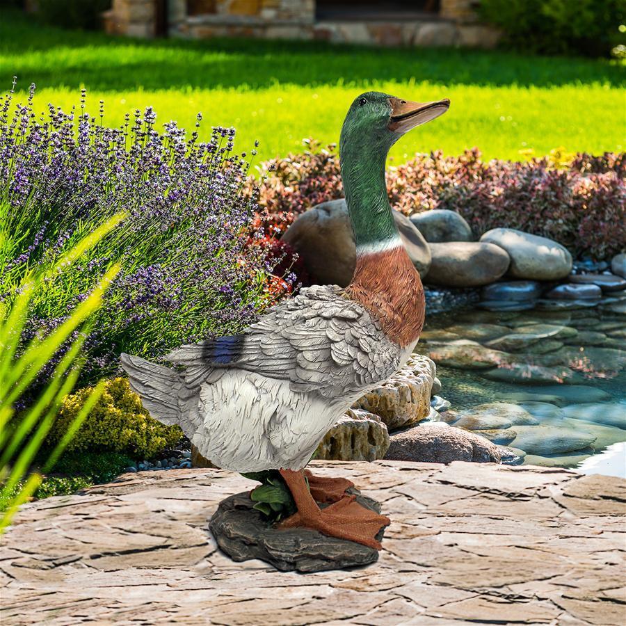 Design Toscano Garden Lovers Gifts - Mallard Duck Statue