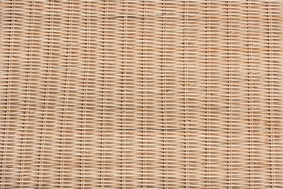 Wholesale Interiors Benches - Farica Modern Bohemian Natural Rattan And Mahogany Accent Bench