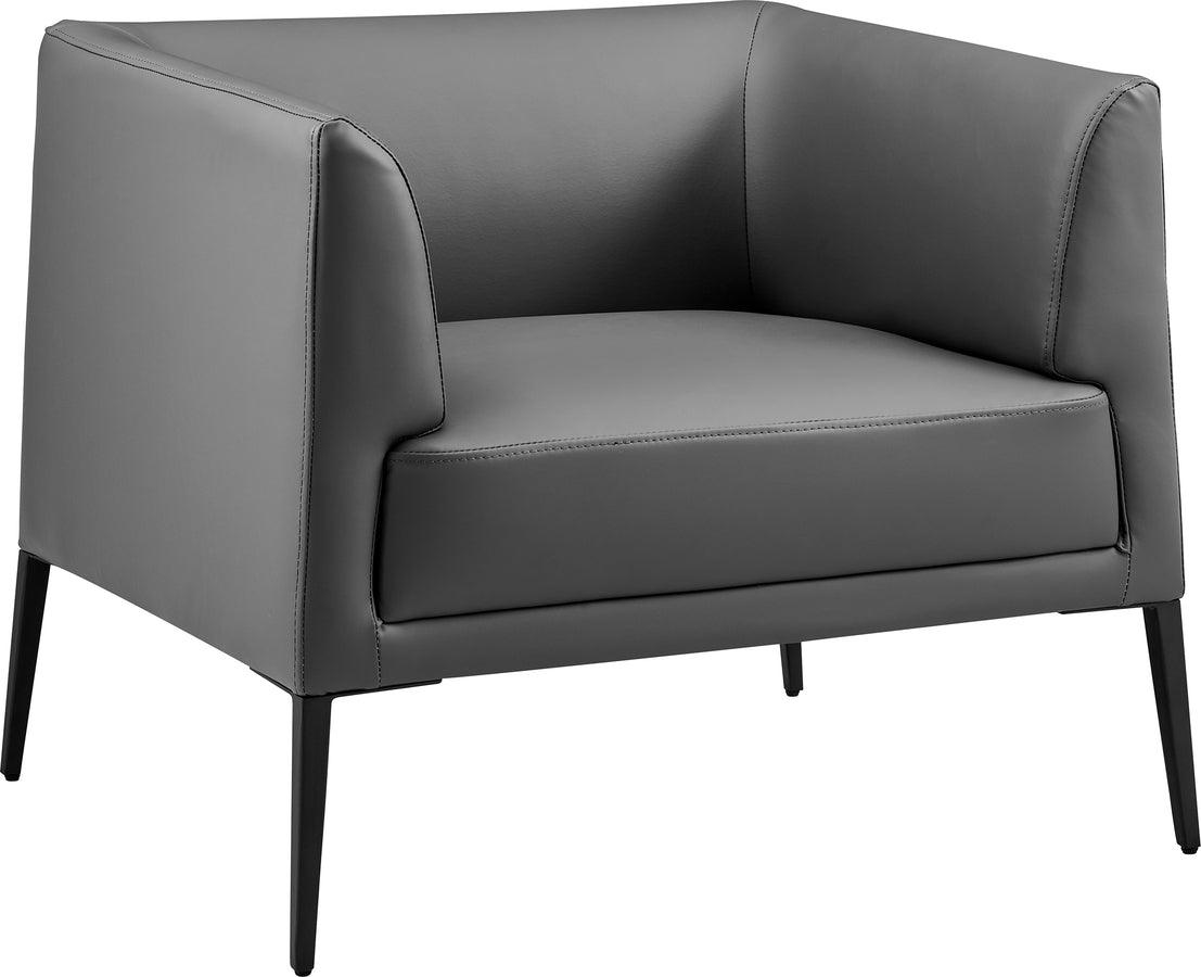 Euro Style Accent Chairs - Matias Lounge Chair Gray