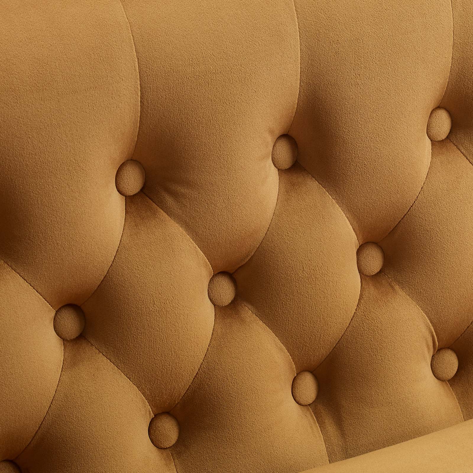 Modway Loveseats - Prospect Performance Velvet Loveseat Cognac
