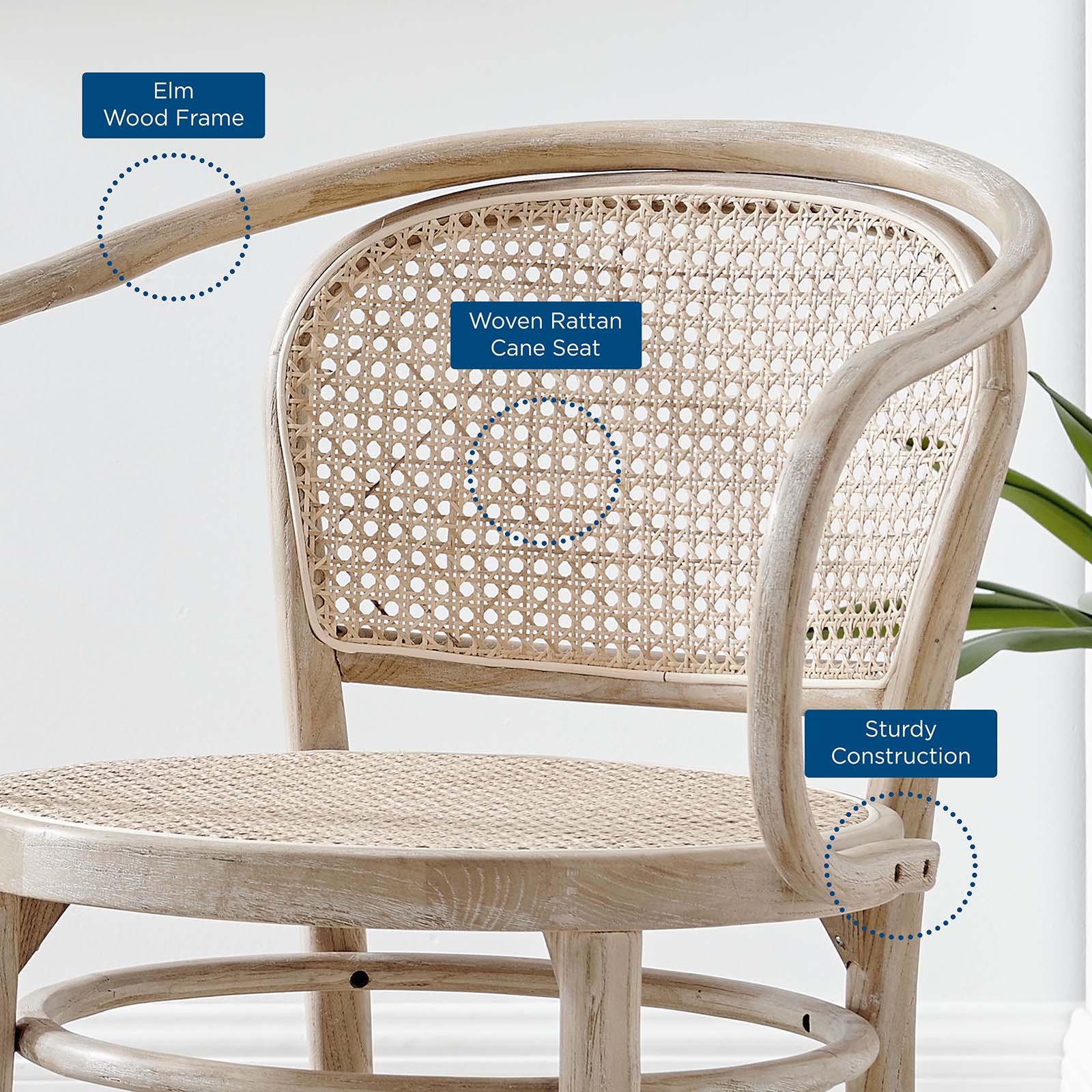 Modway Dining Chairs - Oliana Wood Dining Armchair Gray