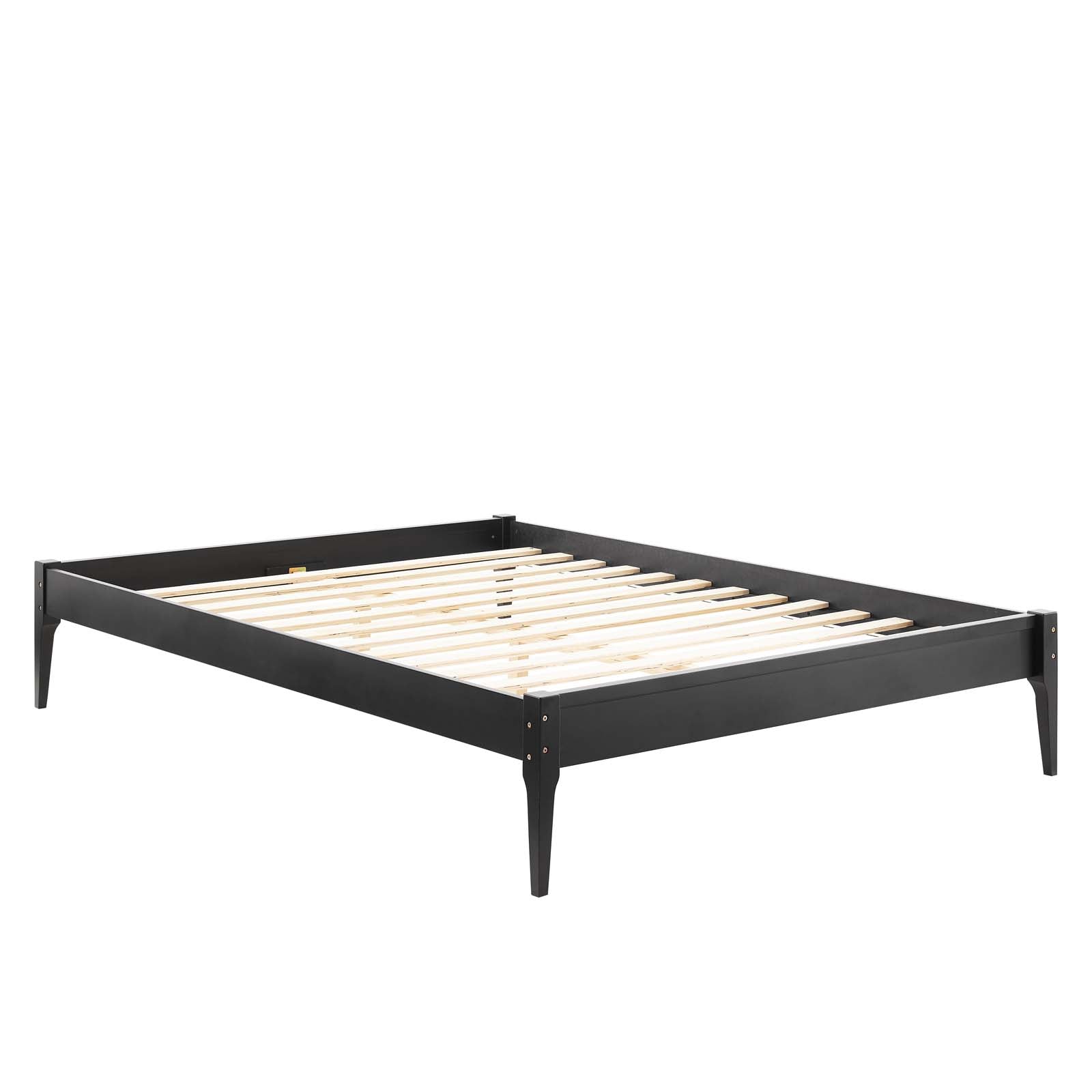 Modway Beds - June Queen Wood Platform Bed Frame Black