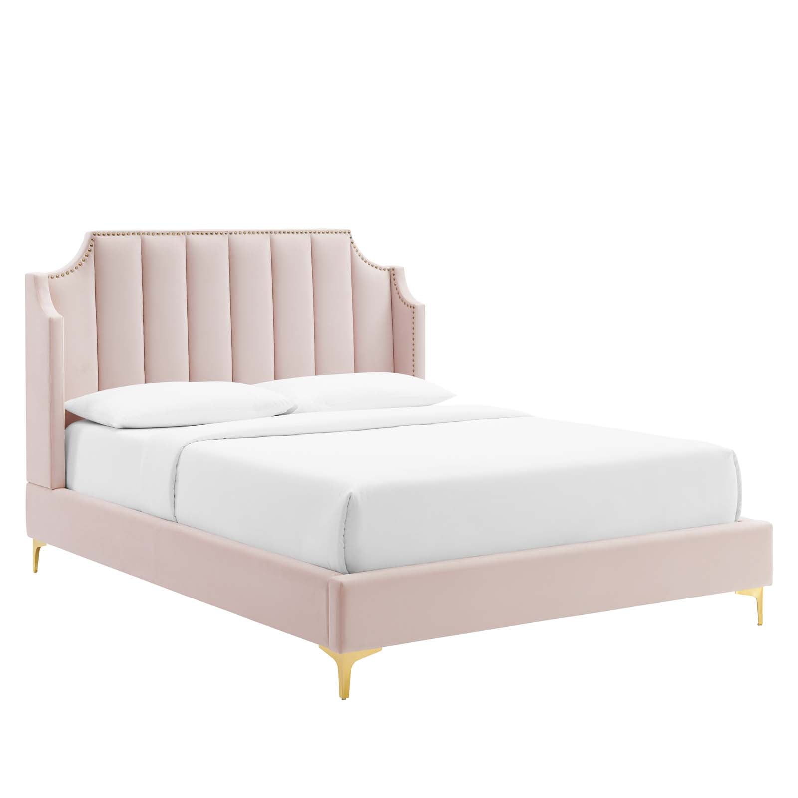 Modway Beds - Daniella-Performance-Velvet-Queen-Platform-Bed-Pink