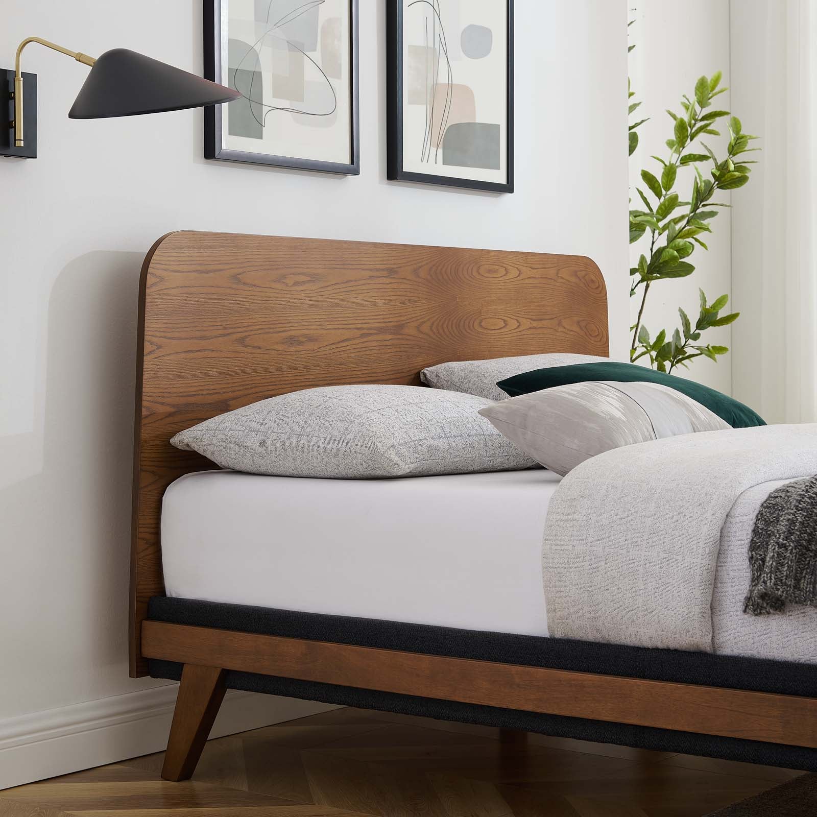 Modway Beds - Dylan Queen Platform Bed Walnut