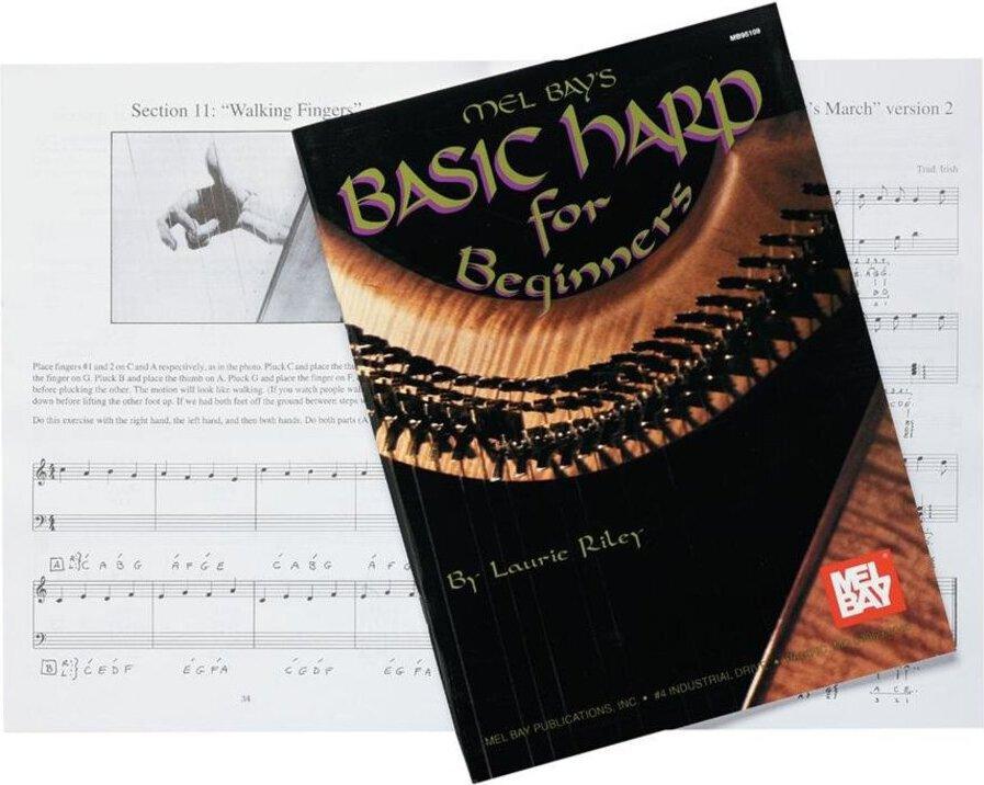 Design Toscano Spooky Decor - Beginner Harp Book