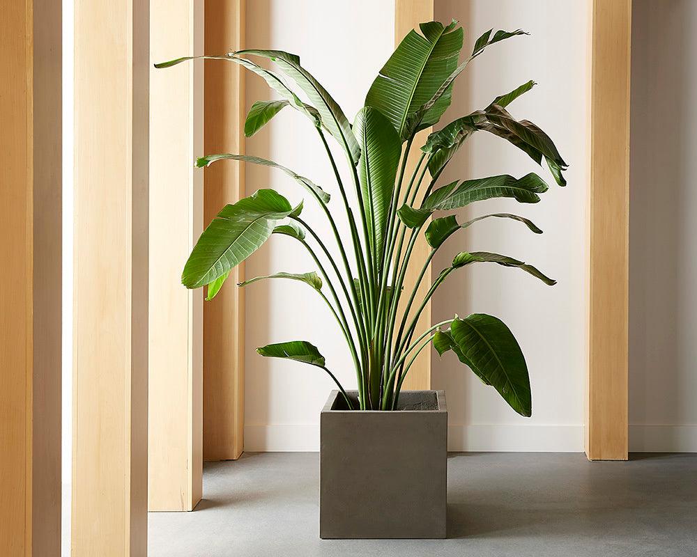 SUNPAN Planters - Calix Planter