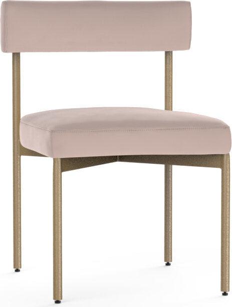 SUNPAN Dining Chairs - Seneca Dining Chair - Antique Brass - Velvet Blush (Set of 2)